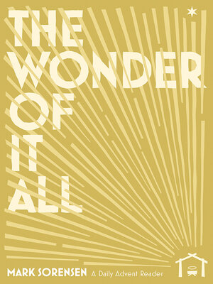 cover image of The Wonder of It All
